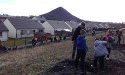 Plantations Cavalier   005